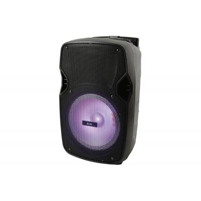 PAL15 Portable PA Unit With LEDs